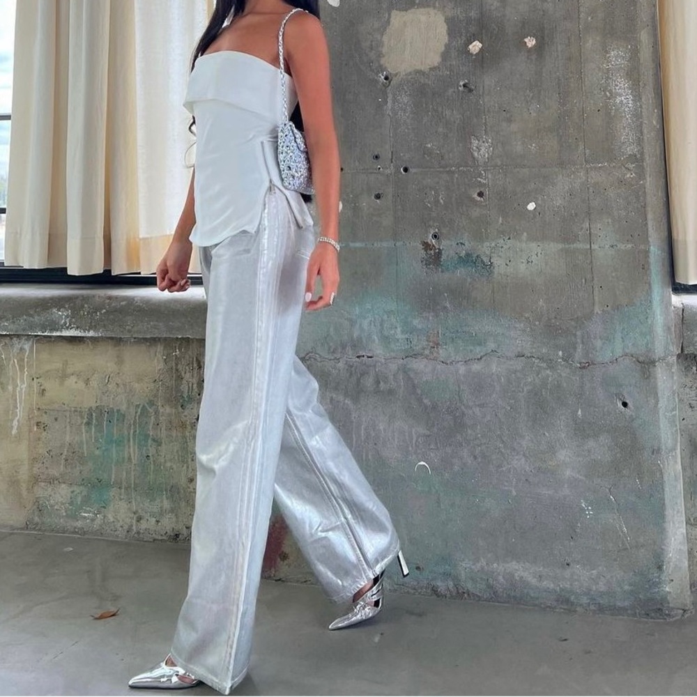 Zara Zw Silver Pants - Gem